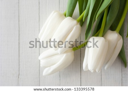 white tulips on white wooden background