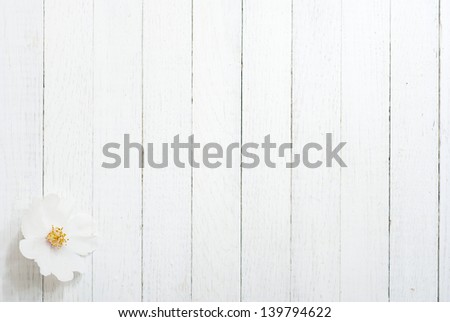 White Field Rose Flower On Bright Wooden Surface