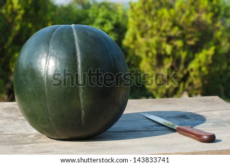 watermelon on wooden table, mediterranean garden background