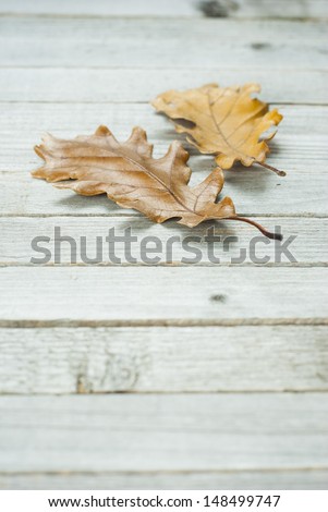 autumn leaves on weathered wooden background