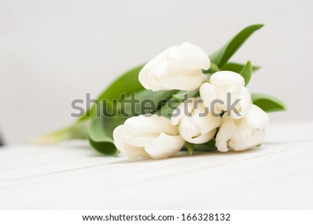white tulips on white wooden background