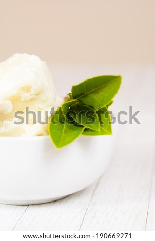 shea butter natural moisturizer with herbal plant