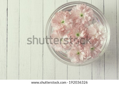 floating flowers in aromatherapy bowl on white wood table