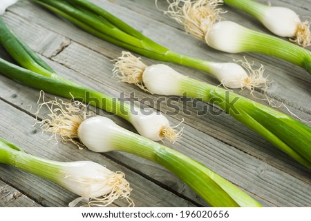 fresh spring onions in a row on old wooden table
