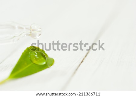 pipette with anti aging serum drop and herbal leaves