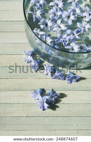 floating flowers on white wooden