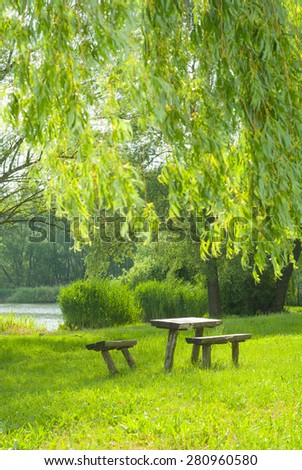 old wood trunk table and benches on river bank, focus on table