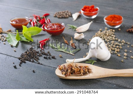 fresh and dried chili fruits, peppercorn, pepper powder, sauce and garlic, bay leaves on old black wooden table background