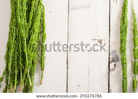 horsetail herbal plants on aged bright wooden table