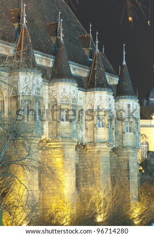 Vajdahunyad castle by night, Budapest, Hungary