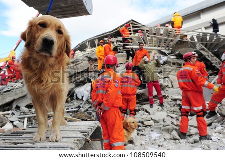 VAN, TURKEY - NOV 10: After the earthquake in Van, rescue teams are searching for earthquake victims with the help of rescue dogs. Van, Turkey. November 10, 2011