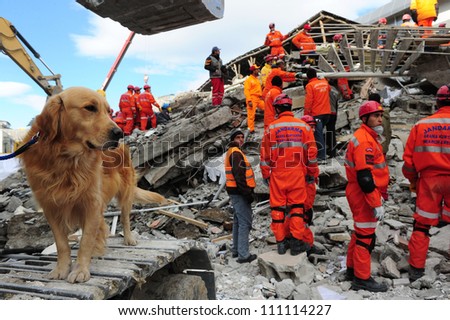 Liverpool Dog Rescue Liverpool Dog Rescue