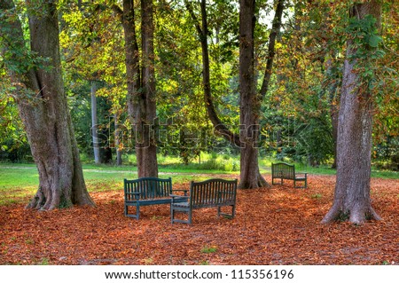 Three benches under the trees and ground covered with yellow leafs in autumnal park of Racconigi in Northern Italy.