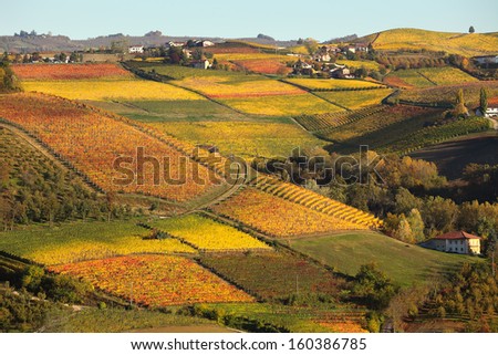 View of colorful autumnal vineyards on the hills of Langhe in Piedmont, Northern Italy.