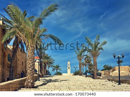 Stone stairs among palms under beautiful blue sky with white clouds leading towards St. Peter\'s Church in old town of Jaffa, Israel.