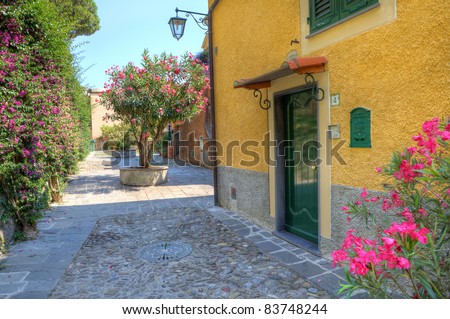 Small courtyard and yellow house with green wooden door in Portofino, Italy.