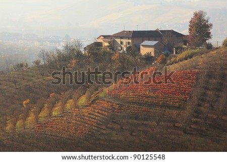 House on top of the hill and beautiful autumnal vineyards in Piedmont, Northern Italy.