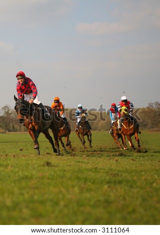 galloping racehorse