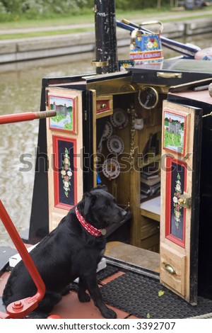 dog on canal boat