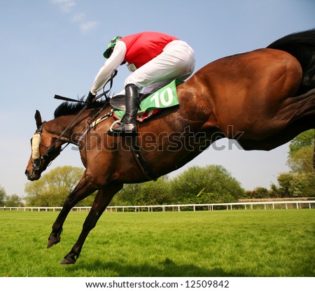 horses jumping pictures