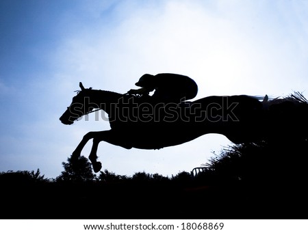race horse jumping hurdle