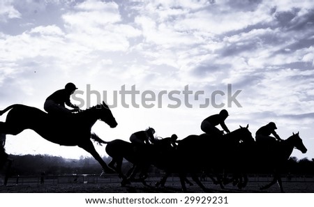 horses jumping. race horses jumping over a