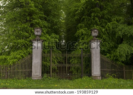 Detail of Ornate Gates and Tree Lined Driveway of a Country Estate