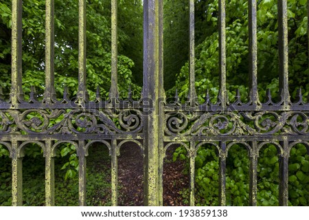 Detail of Ornate Gates and Tree Lined Driveway of a Country Estate