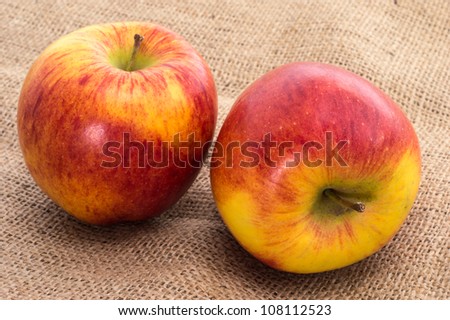 Two apples on a brown textile background
