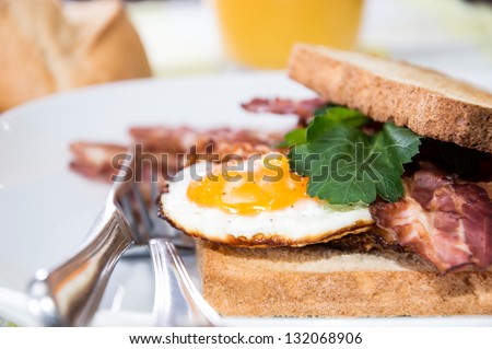 Fried Egg Sandwich on a plate