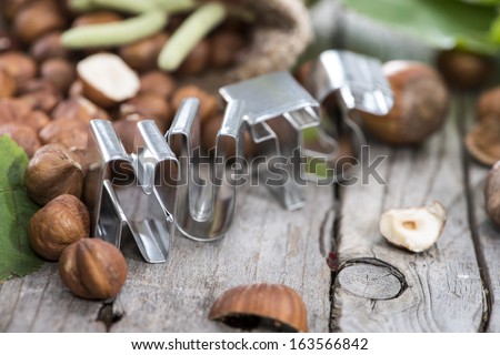 NUTS logo with frehs Hazelnuts on a vintage wooden table