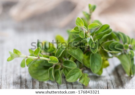Oregano Plant on wood on grey vintage wooden background