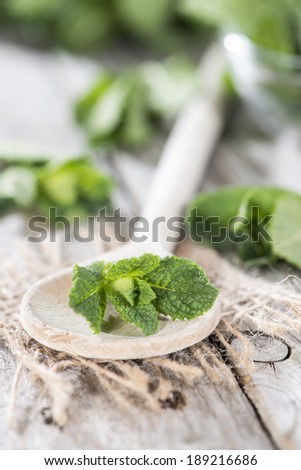Heap of fresh Mint (detailed close-up shot)