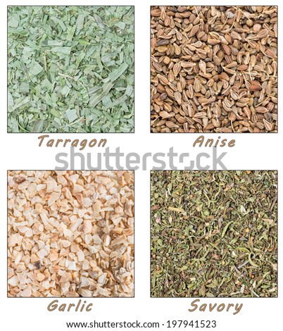 Dried Herbs (Tarragon, Anise, Garlic and Savory) as tiles
