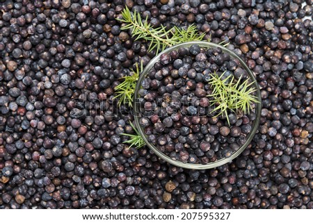 Heap of Juniper Berries for use as background image (close-up image)