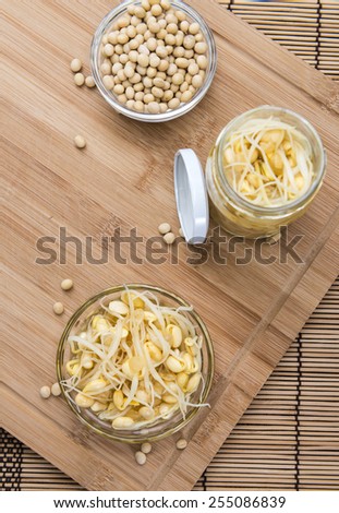 Portion of preserved Soy Sprouts (on wooden background)