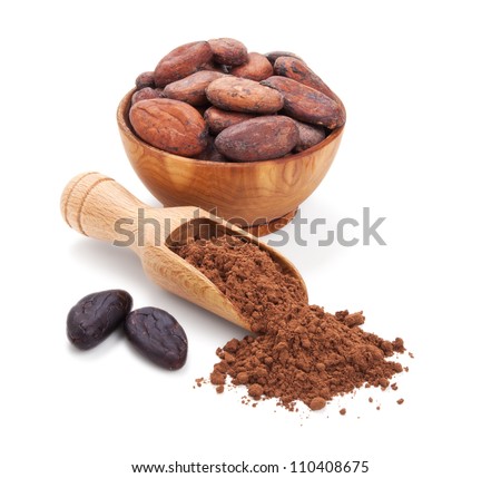 cacao beans and cacao powder isolated on white background cacao beans and cacao powder isolated on white background