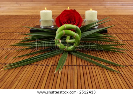 Palm frond, candles, bamboo plant, and red rose