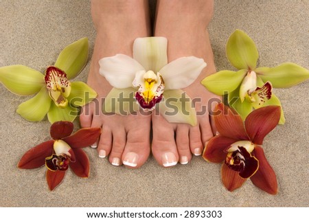 Pedicured feet with beautiful fresh orchids on beach sand