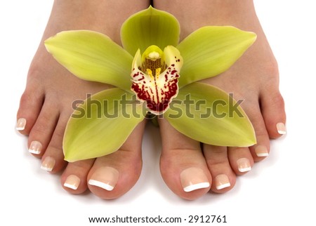 stock photo Pedicured feet with beautiful fresh orchid