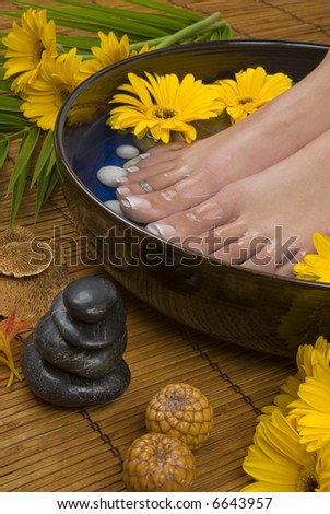 Spa treatment with aromatic gerbera daisies, healing stones, olive oil soaps and mineral water