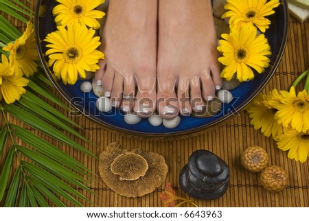 Spa treatment with aromatic gerbera daisies, healing stones, olive oil soaps and mineral water
