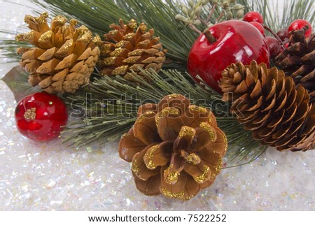 Pine tree branch, apple, berries, pine cones and snow