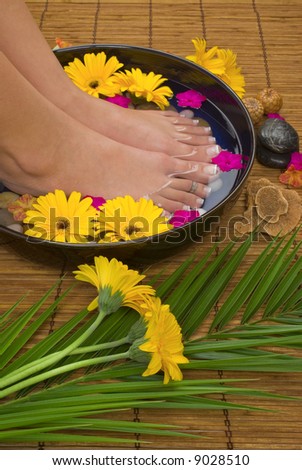 Spa treatment with aromatic gerbera daisies, healing stones, olive oil soaps and herbal water