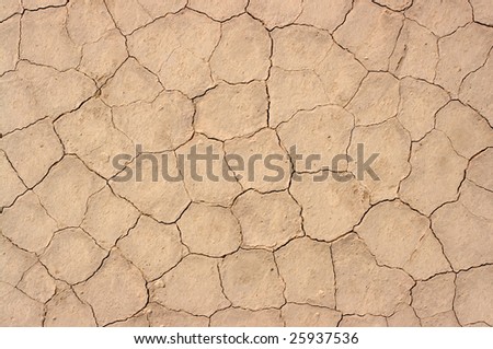Cracked dry lake bed background