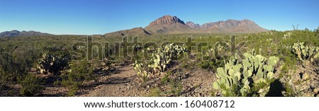 Desert and mountains in Big Bend National Park, Texas