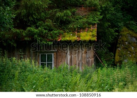 Old wooden house in forest