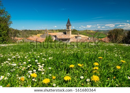 Flower field in front of Lautrec village, France
