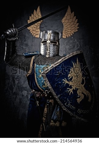 Medieval knight with sword and shield against stone wall