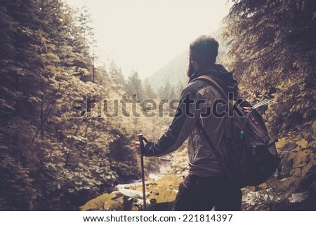 Man with hiking equipment walking in mountain forest